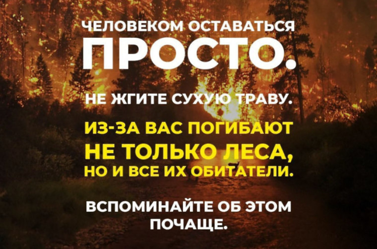 Пожары, которые связаны с палом травы, быстро распространяются, уничтожая все на своем пути. Пожары, которые связаны с палом травы, быстро распространяются, уничтожая все на своем пути.